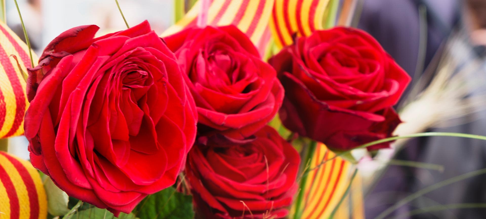 One of the most popular and traditional festivities in Catalonia is Sant Jordi's Day. It is celebrated on...